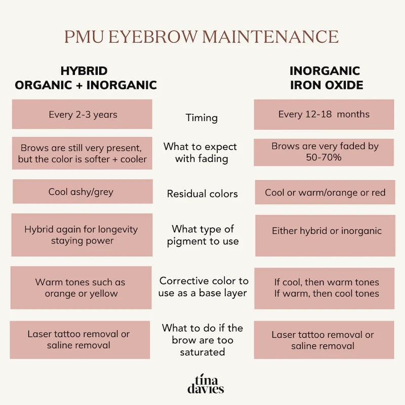 PMU Brow Maintenance Graphic