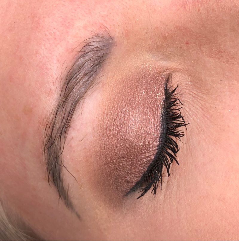 Ashy Brow Case Study Before Image Right Brow