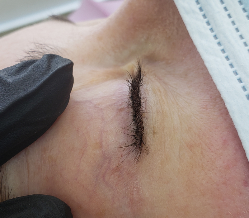 Eyeliner Case Study Visible veining on clients eyelid 