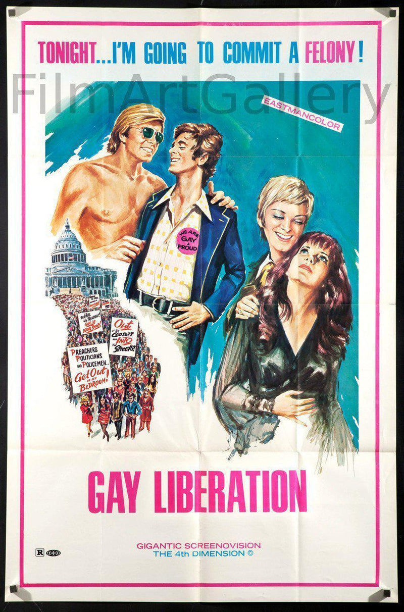 The Gay Liberation Book by Len Richmond