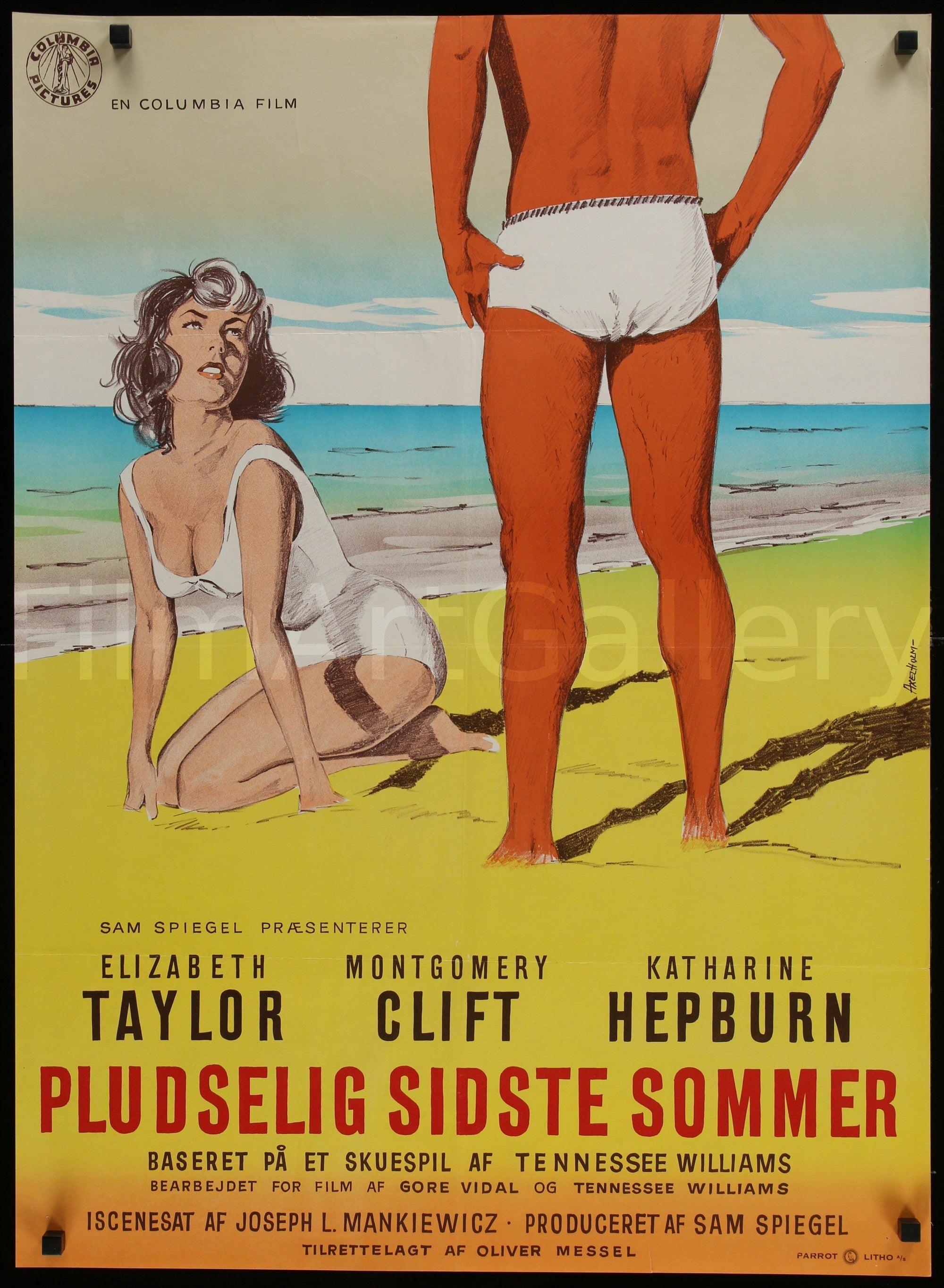 Suddenly Last Summer Movie Poster 1960 – Film Art Gallery