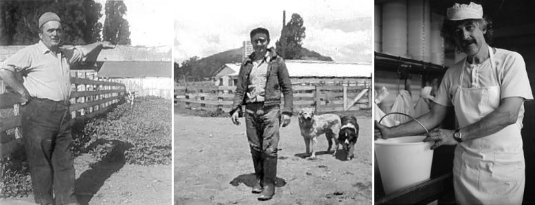 Left photo - Our Grandfather, Fredonlino Lafranchi Center photo - Our father, Will Lafranchi Our mentor, cheese maker and friend from Maggie, Switzerland, Maurizio Lorenzetti