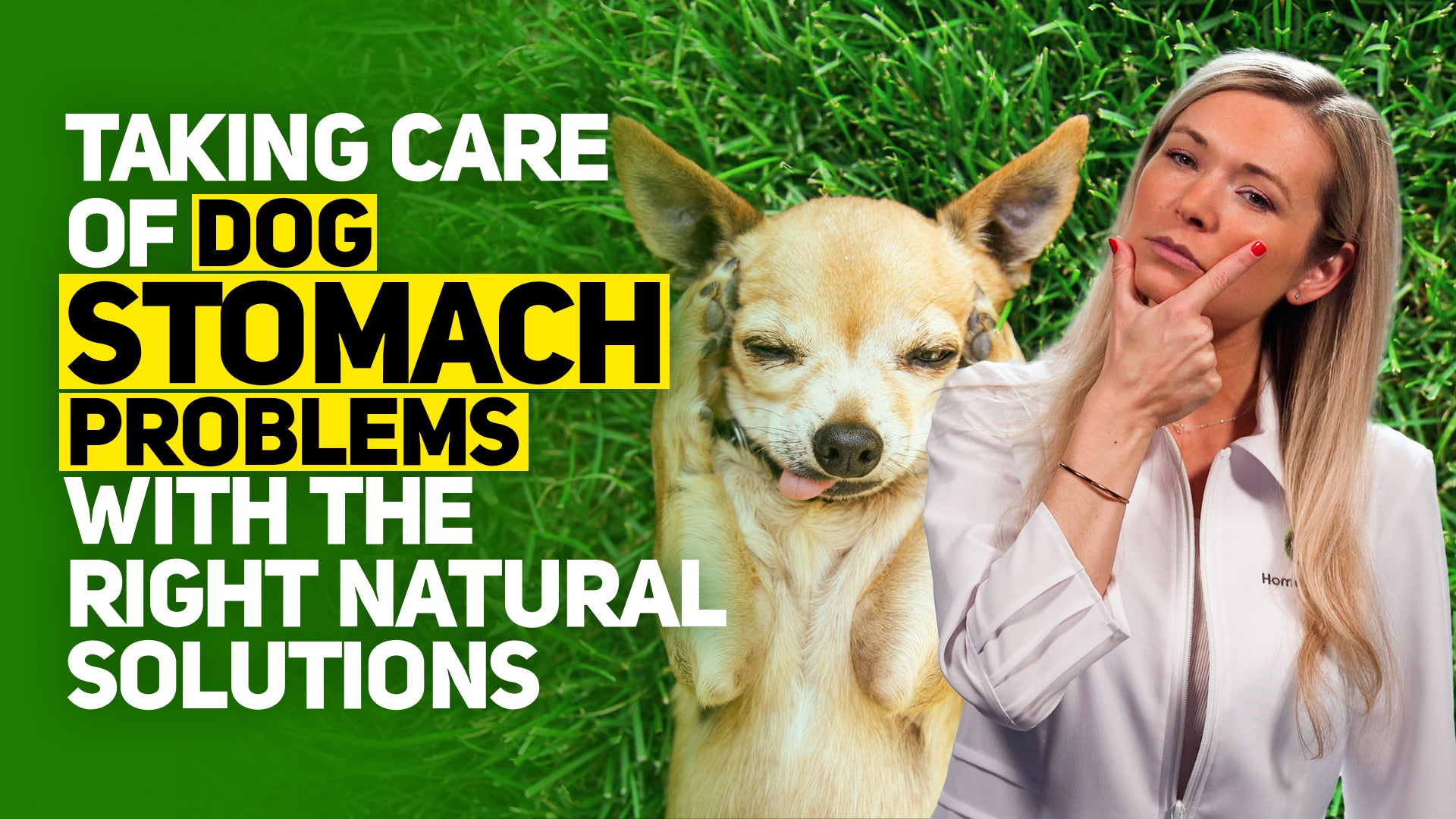 Knowing These 8 Dog Stomach Problems NATURAL Solutions Could Save Your