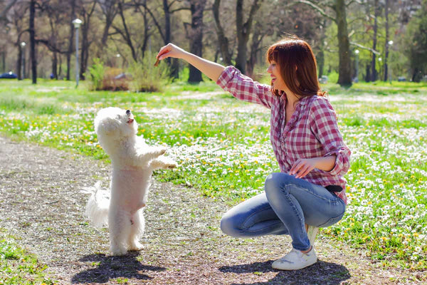 Happy Woman Enjoying Nature With Her Dog