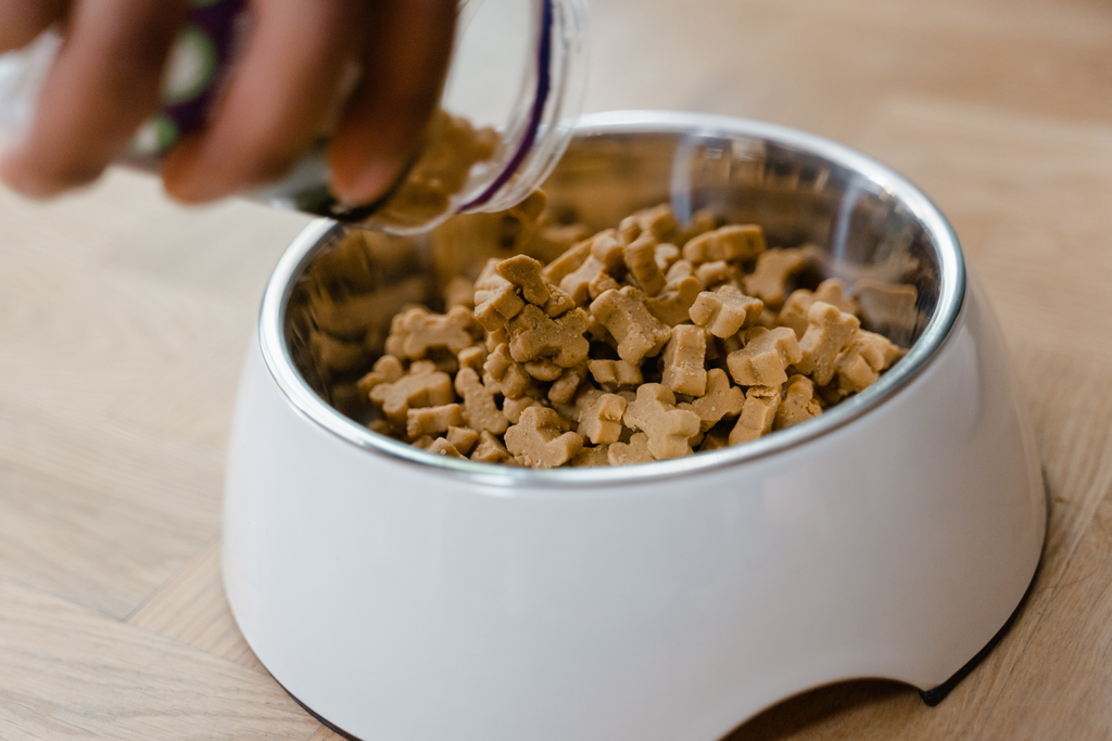 Delicious dog food on a bowl.