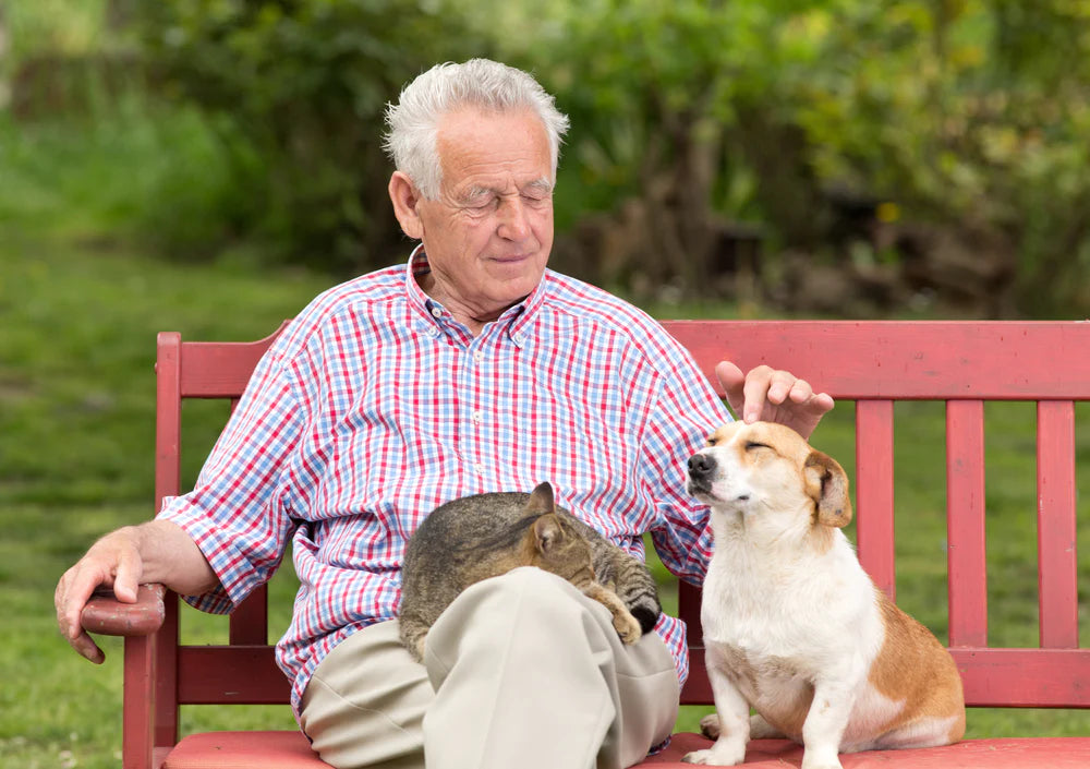 Man sitting with his cat and dog