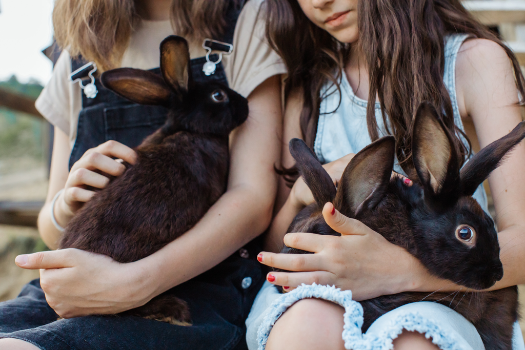 two young girls with their pet bunnies