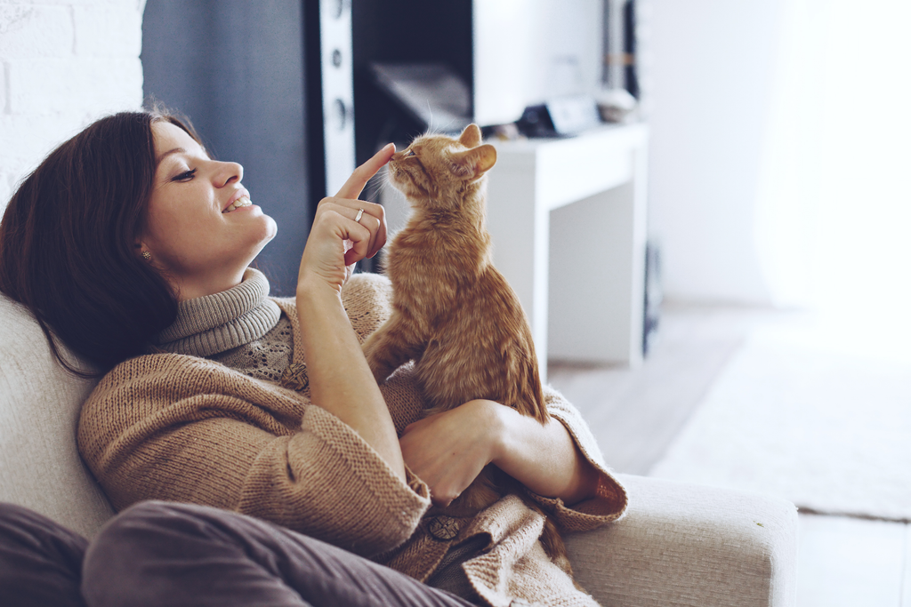 Girl poking her cat's nose