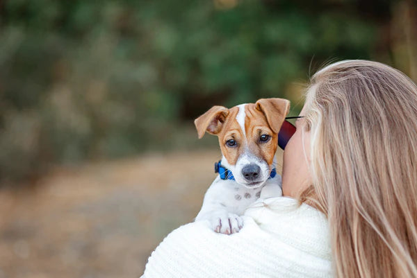 back view of woman hugging dog