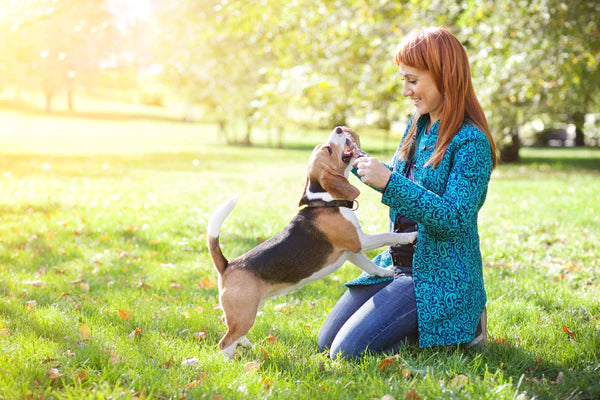 woman playing with dog outdoors