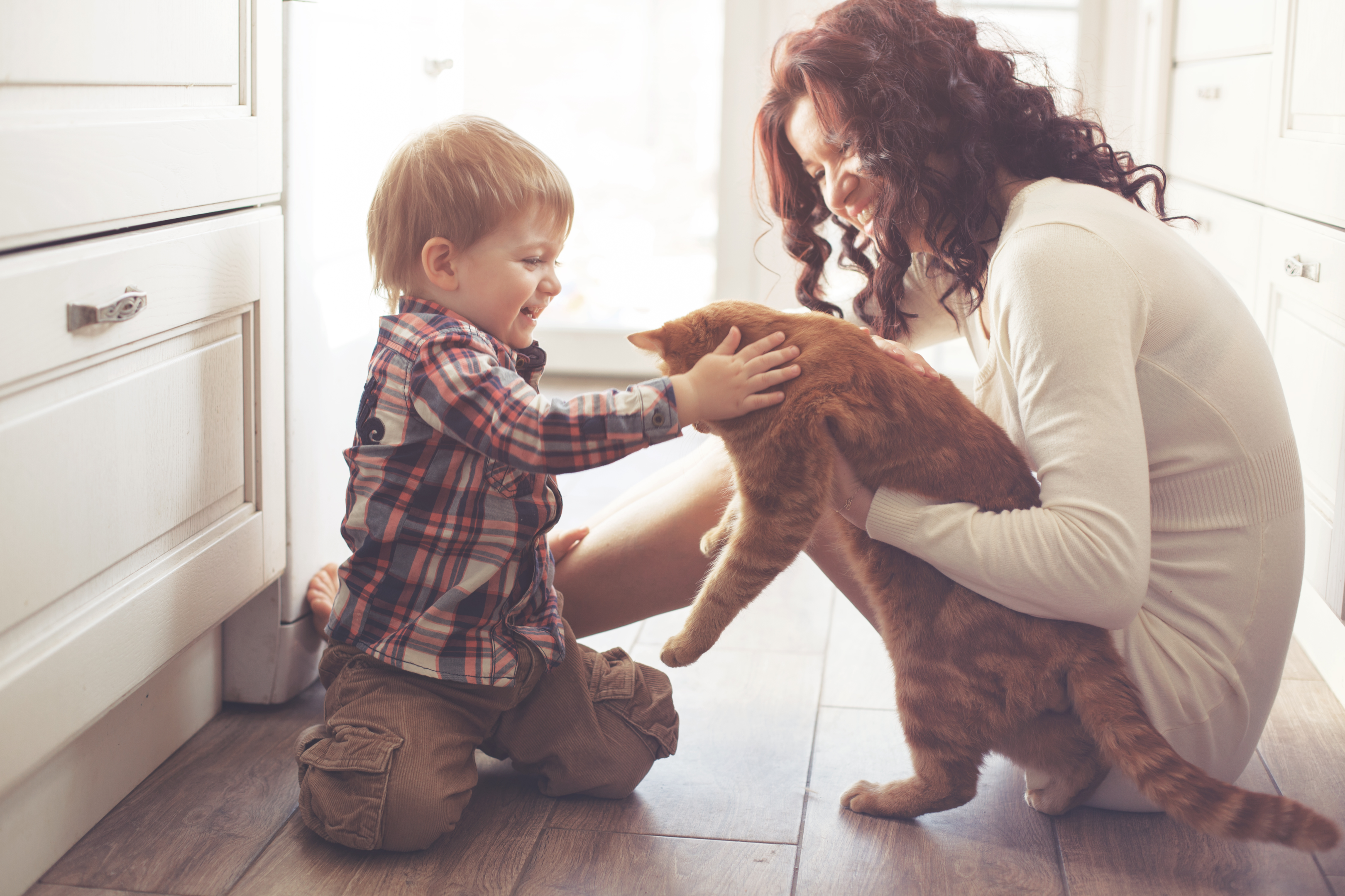 mother and son playing with their cat