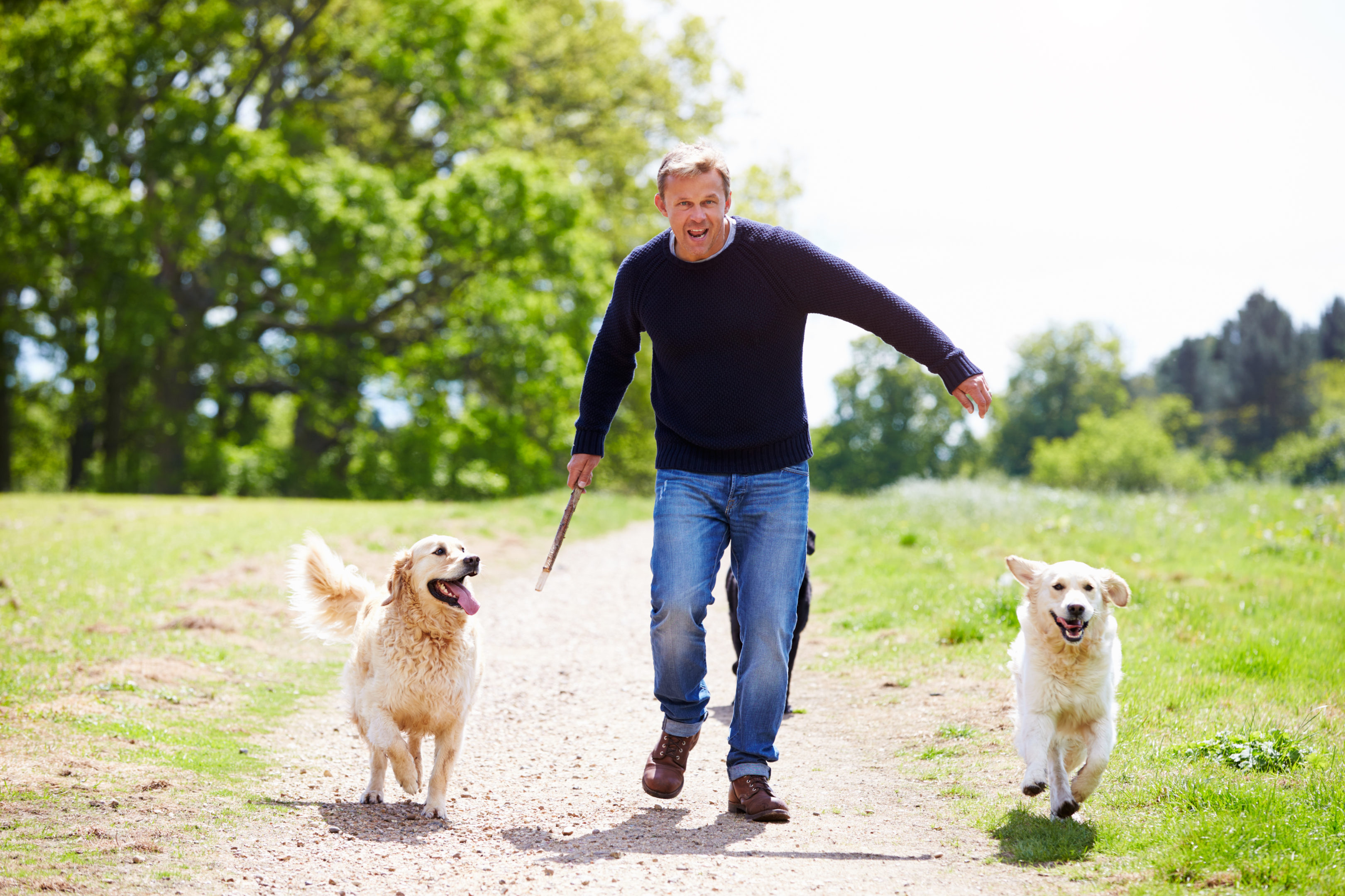 man playing with his dogs