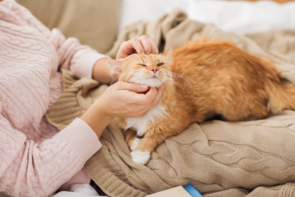 Woman cuddling her cat