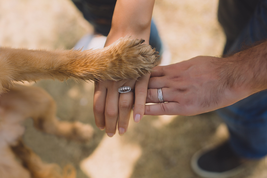 hands of the fur parents with the paw of their pet