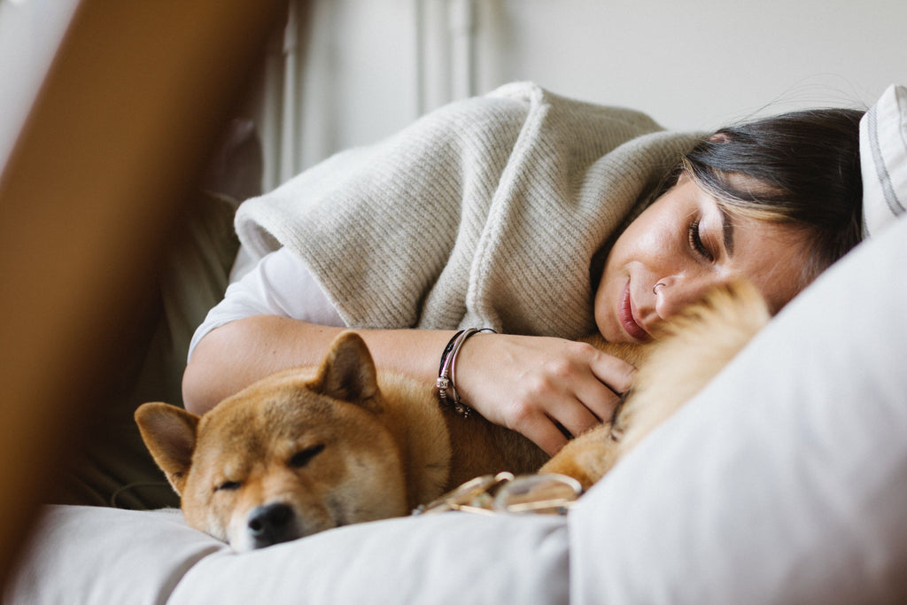 A dog with anxiety on a bed.