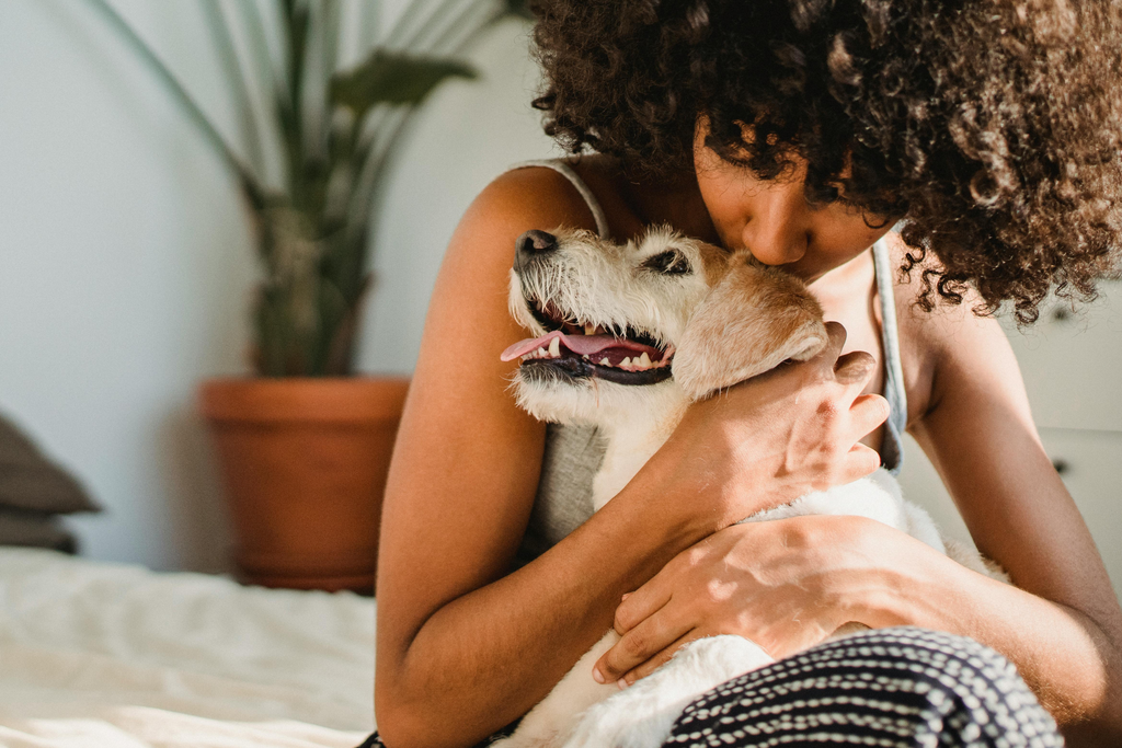 owner kissing her pet dog