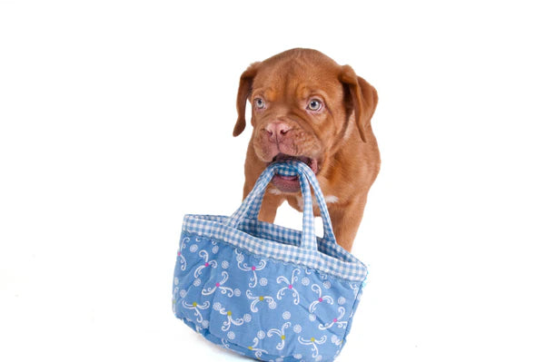 puppy holding a bag