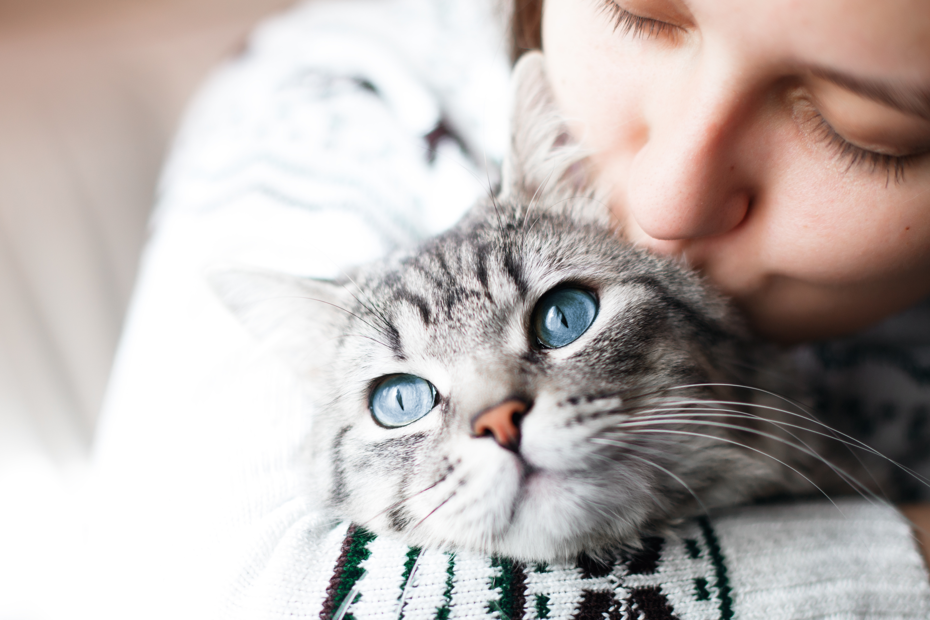 girl kissing her cat