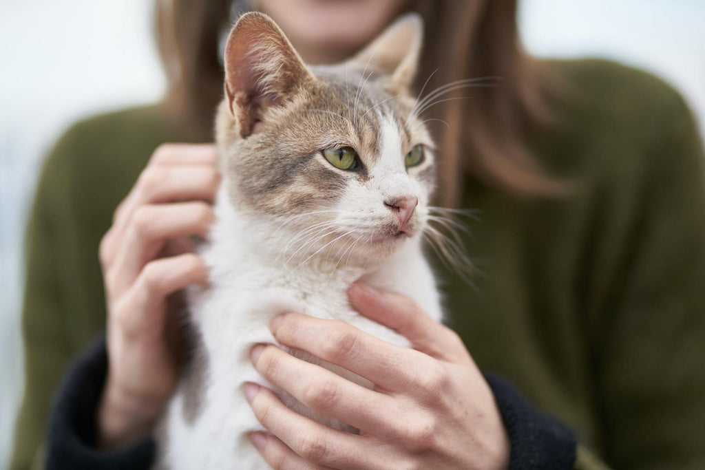 Woman petting her cat