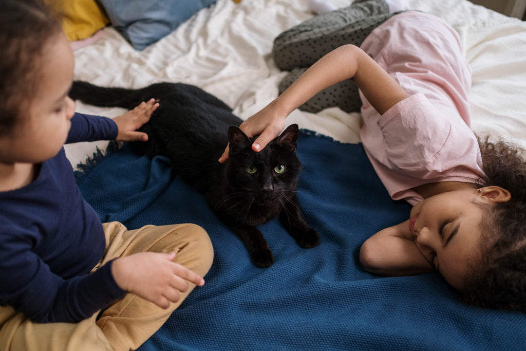 Two kids petting the black cat.