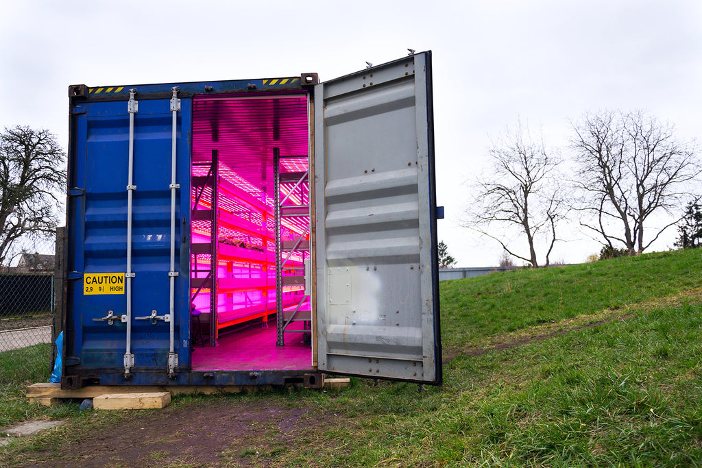 Shipping Container setup for Aquaponics combining Fish Aquaculture
