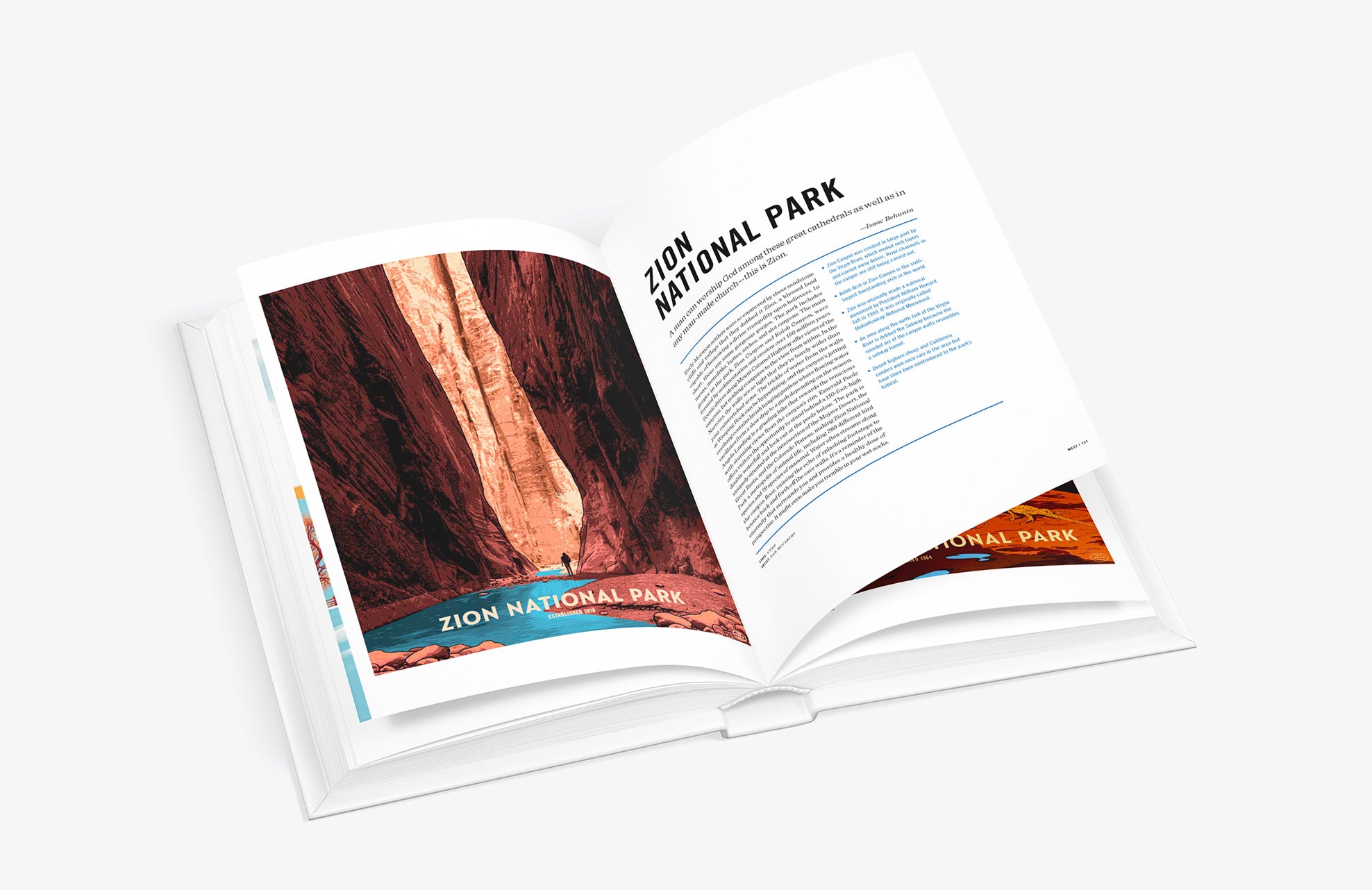 Art of the National Parks by Fifty-Nine Parks book Zion