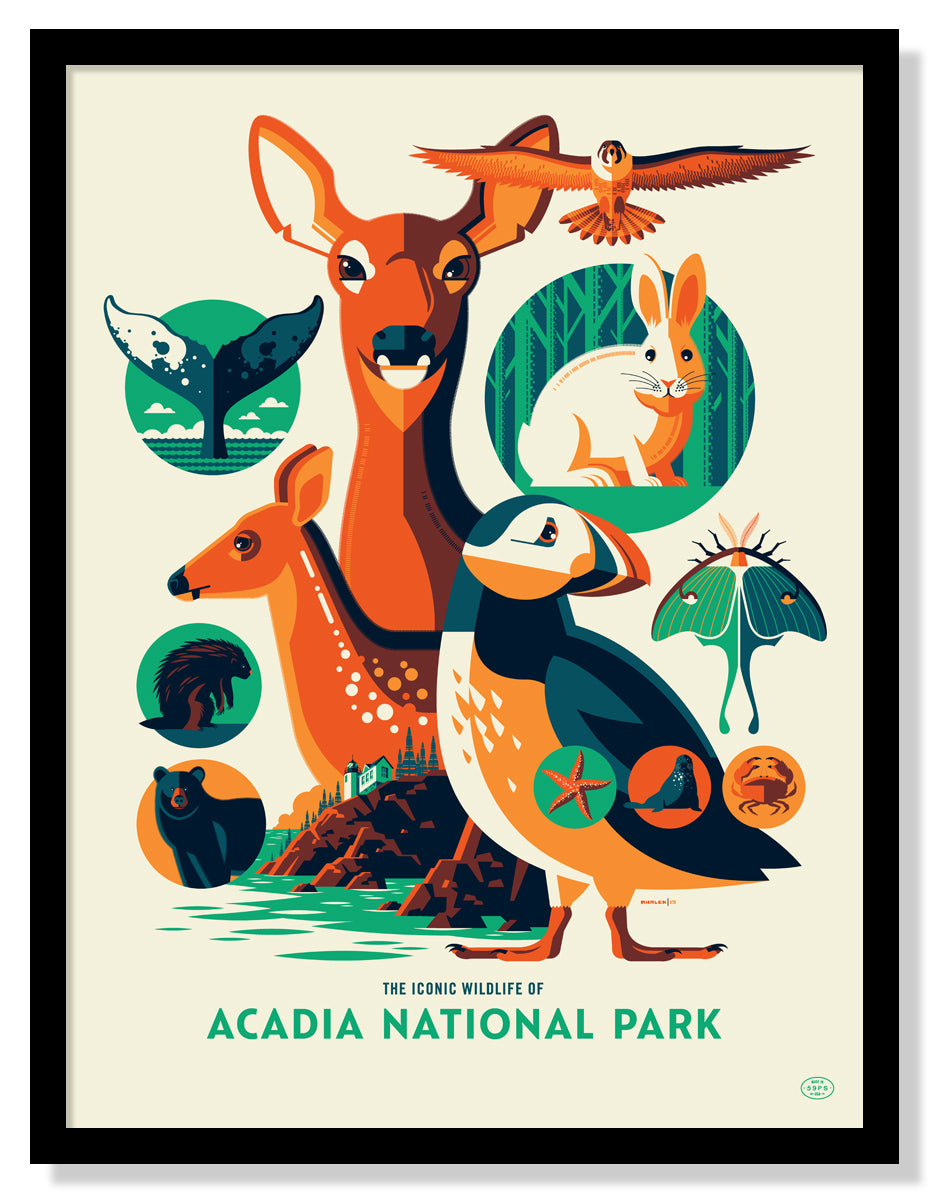 Iconic Wildlife Of Acadia National Park Poster Fifty Nine Parks 5721