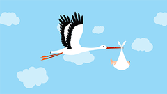 baby carried by stork