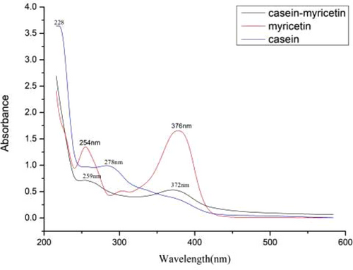 UV-absorption-spectrum-of-casein-myricetin-myricetin-and-casein.png__PID:e6cd8aa3-40af-424c-af93-2cbe7954aa3b
