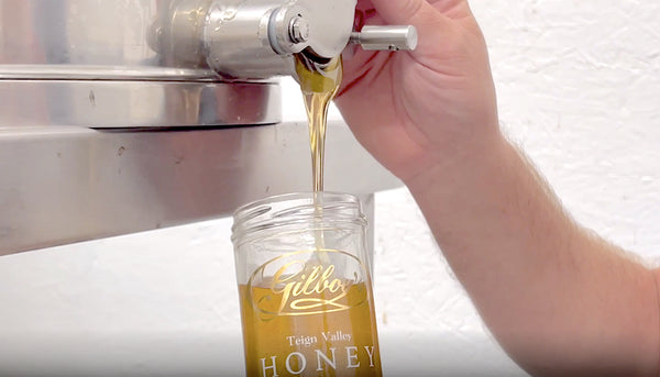 pouring pure raw honey from the centrifuge