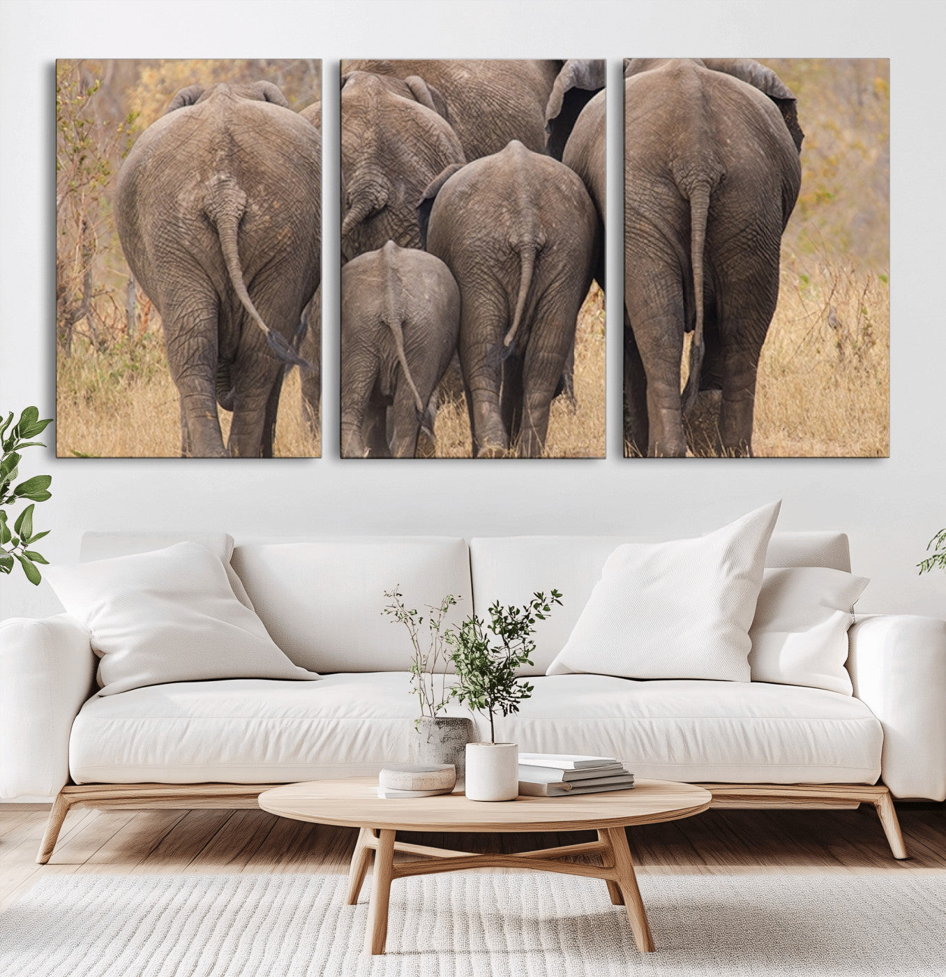 Wild Elephant Wall Art Canvas Print