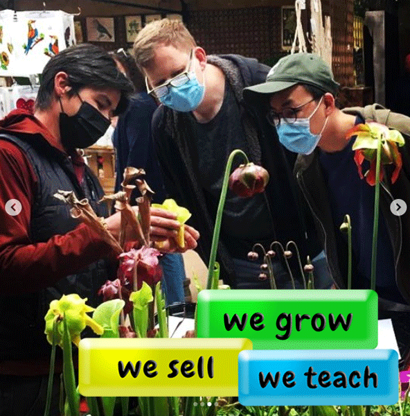 We grow we sell we teach all things carnivorous