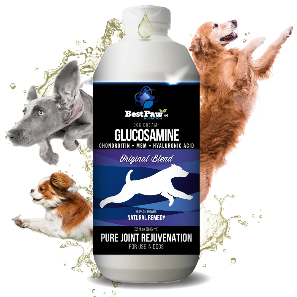 can glucosamine make a dog sick