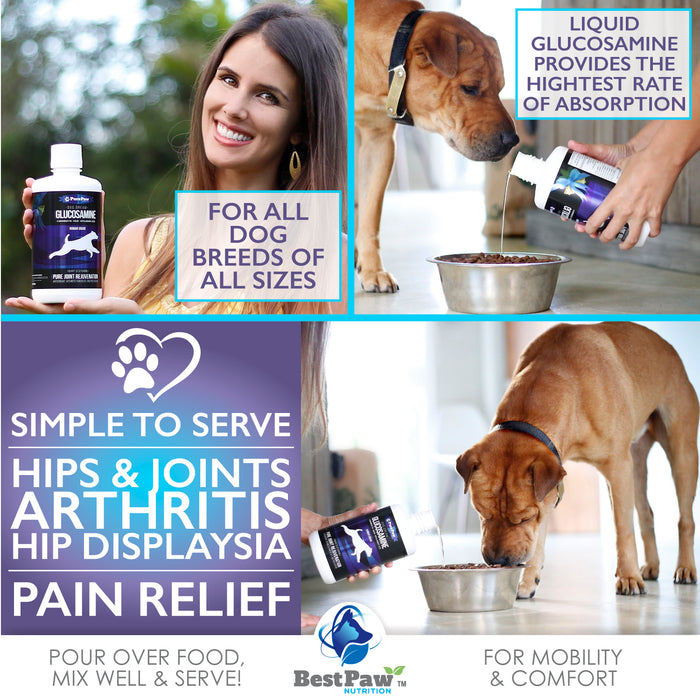 can glucosamine make a dog sick