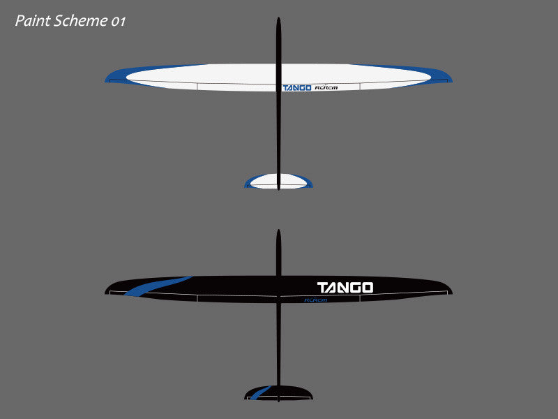 tango rc plane