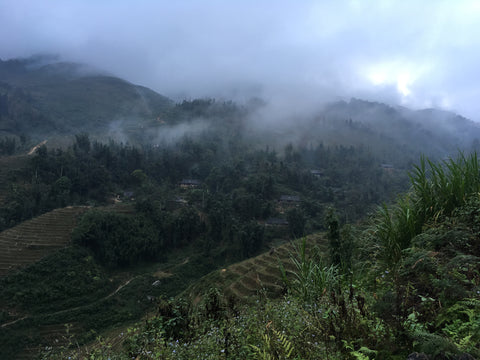 Taphin Mountains