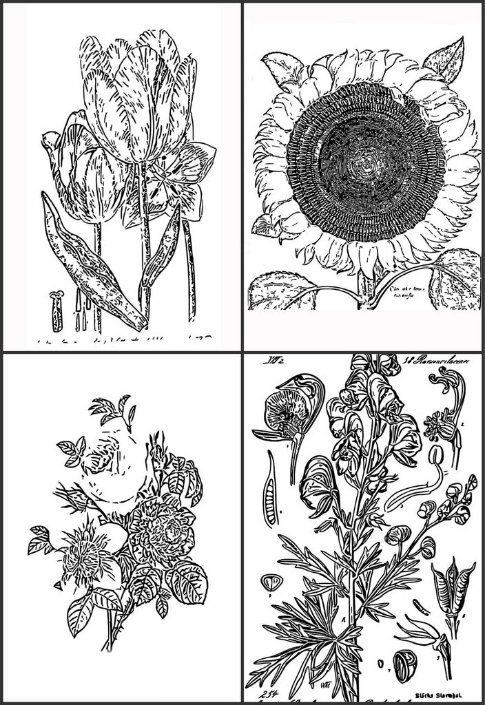 Download Color Me Calm 30 Botanical Floral Design Patterns Coloring Book For Paper Rose Cottage