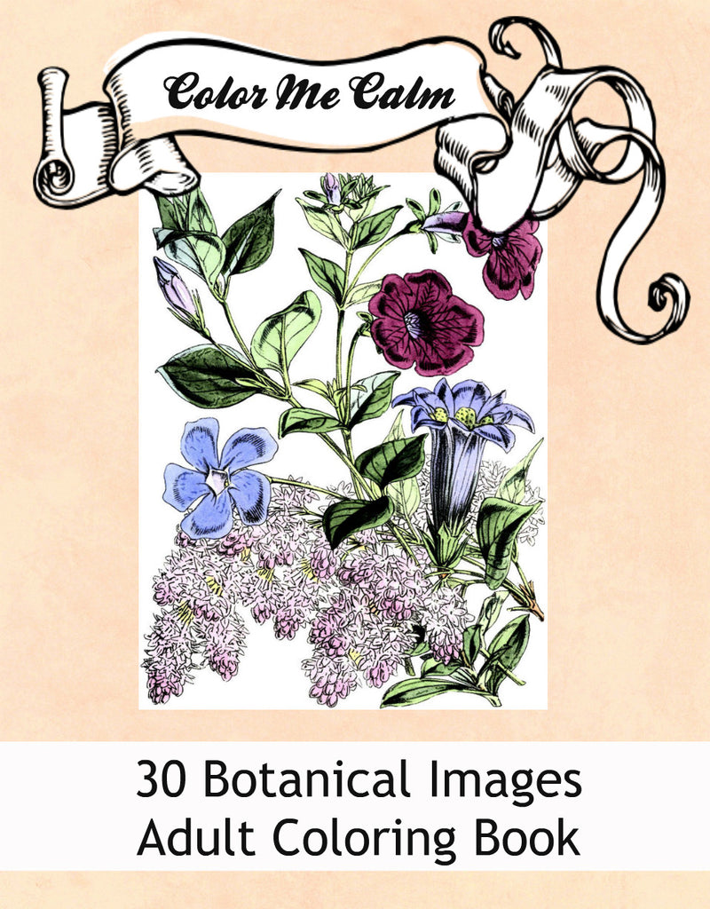 Download Color Me Calm 30 Botanical Floral Design Patterns Coloring Book For Paper Rose Cottage