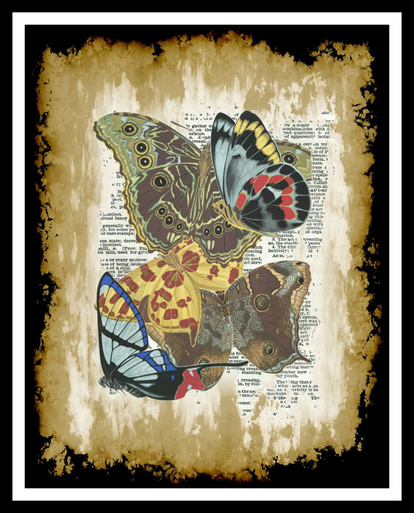 Printed Vintage Butterfly Art Print Poster 8 X 10 Or 11 X 14 Unframed