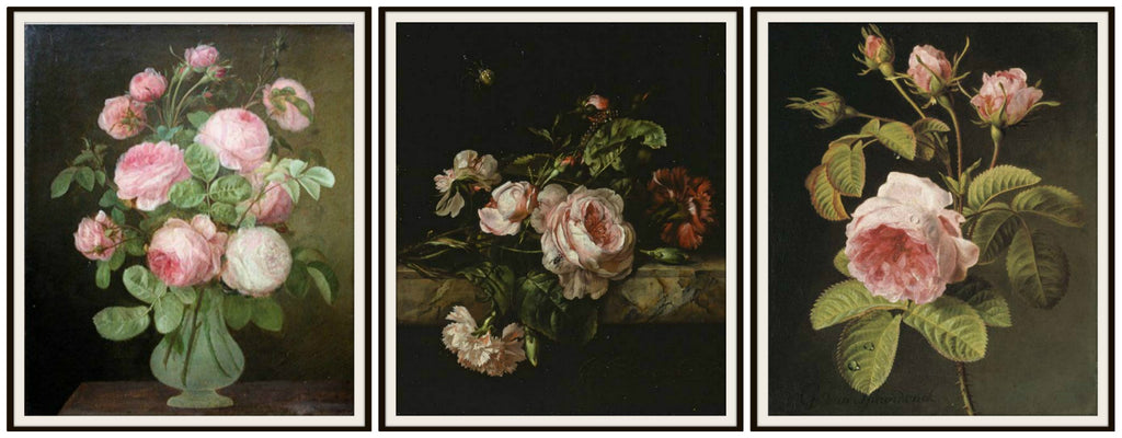 Set of 3 Floral Botanical Fine Art Print Roses Reproductions by Gerard van Spaendonck, Unframed 8 x 10" or 11 x 14 Wall Decor