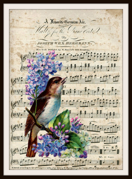 Vintage Art Print Bird on Ephemera Music Page, Print Wall Decor, 8.5 x