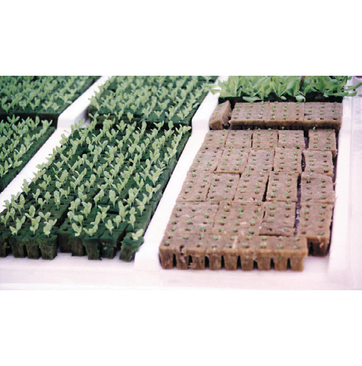 Rockwool Propagation Cubes – Fish Farm Supply Co