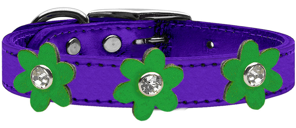 purple leather dog collar