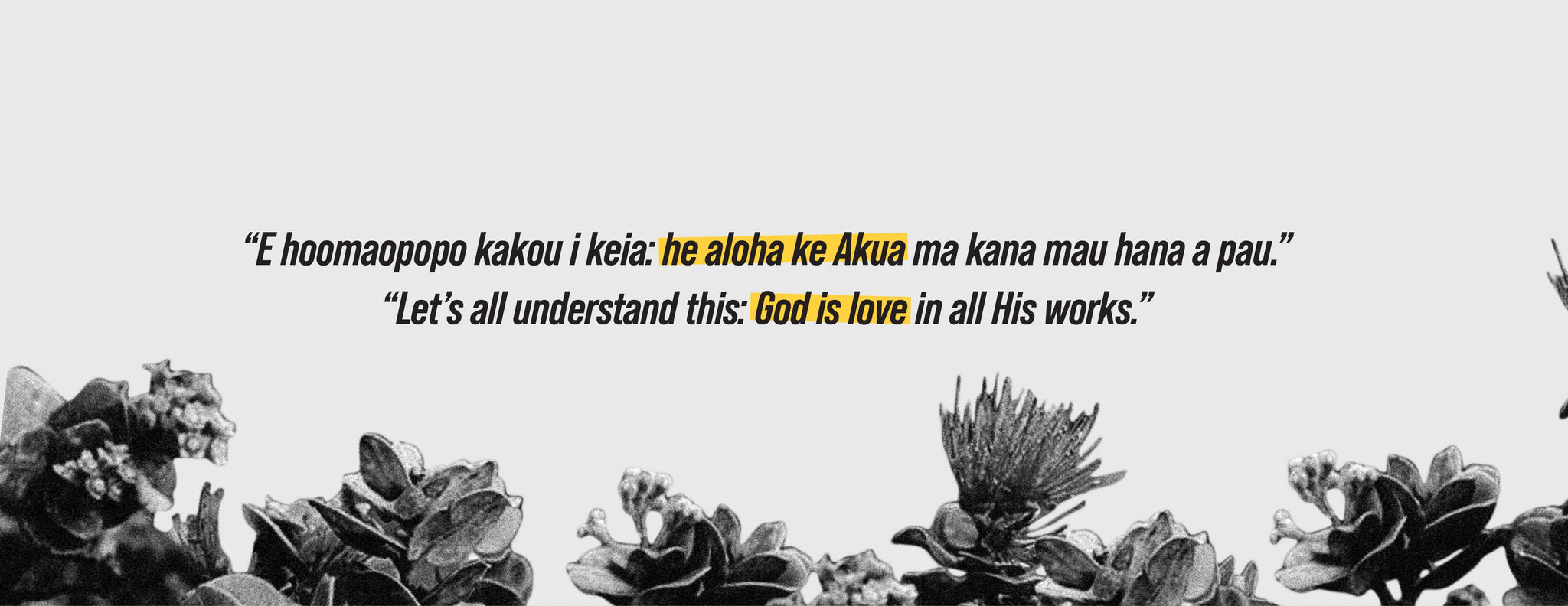 Hawaiian Language description of the Value of Aloha Ke Akua