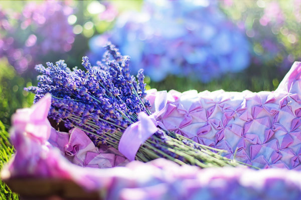 Lavender - online flower delivery