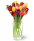 Colorful Tulip- - from Best Flower Delivery in Category | Flowers | Premium Flowers -This beautiful arrangement consists of: 10 mixed color tulips Crystal clear glass vase Note: This product is available for delivery in Bangalore city only. 