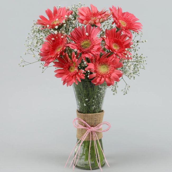 Dark Pink Gerbera Glass Vase | Online Flowers Delivery | Blooms Villa -  Bloomsvilla