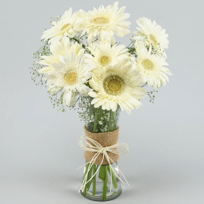 White Gerberas - from Best Flower Delivery in India 