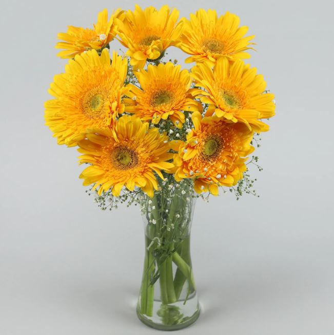 Yellow Gerbera Glass Vase | Online Flowers Delivery | Blooms Villa -  Bloomsvilla