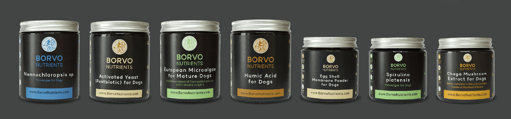 Full range of Borvo Nutrients supplements pictured on a grey background